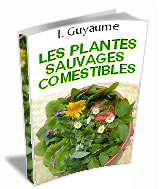 Plantes sauvages comestibles