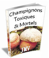 Champignons toxiques et mortels