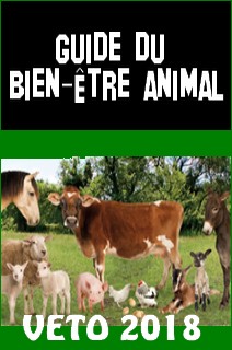 Guide du bien-être animal