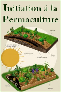 Initiation à la permaculture