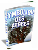 Symbolique des Arbres