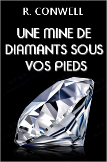 Une mine de Diamants sous vos pieds